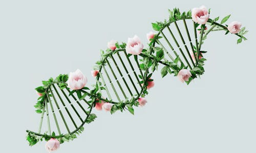 TJSP nega desconstituição de paternidade e anulação de registro após DNA negativo