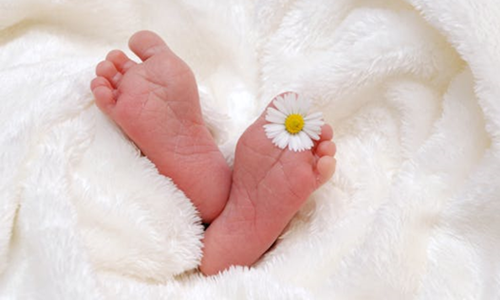 Bebê de casal homoafetivo gerado por inseminação caseira deve ser registrado ao nascer