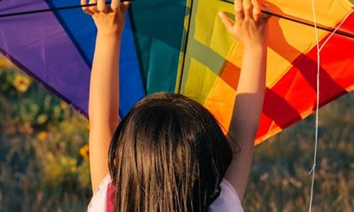 TJSC concede liminar para permitir que casal leve filha para a Parada da Diversidade