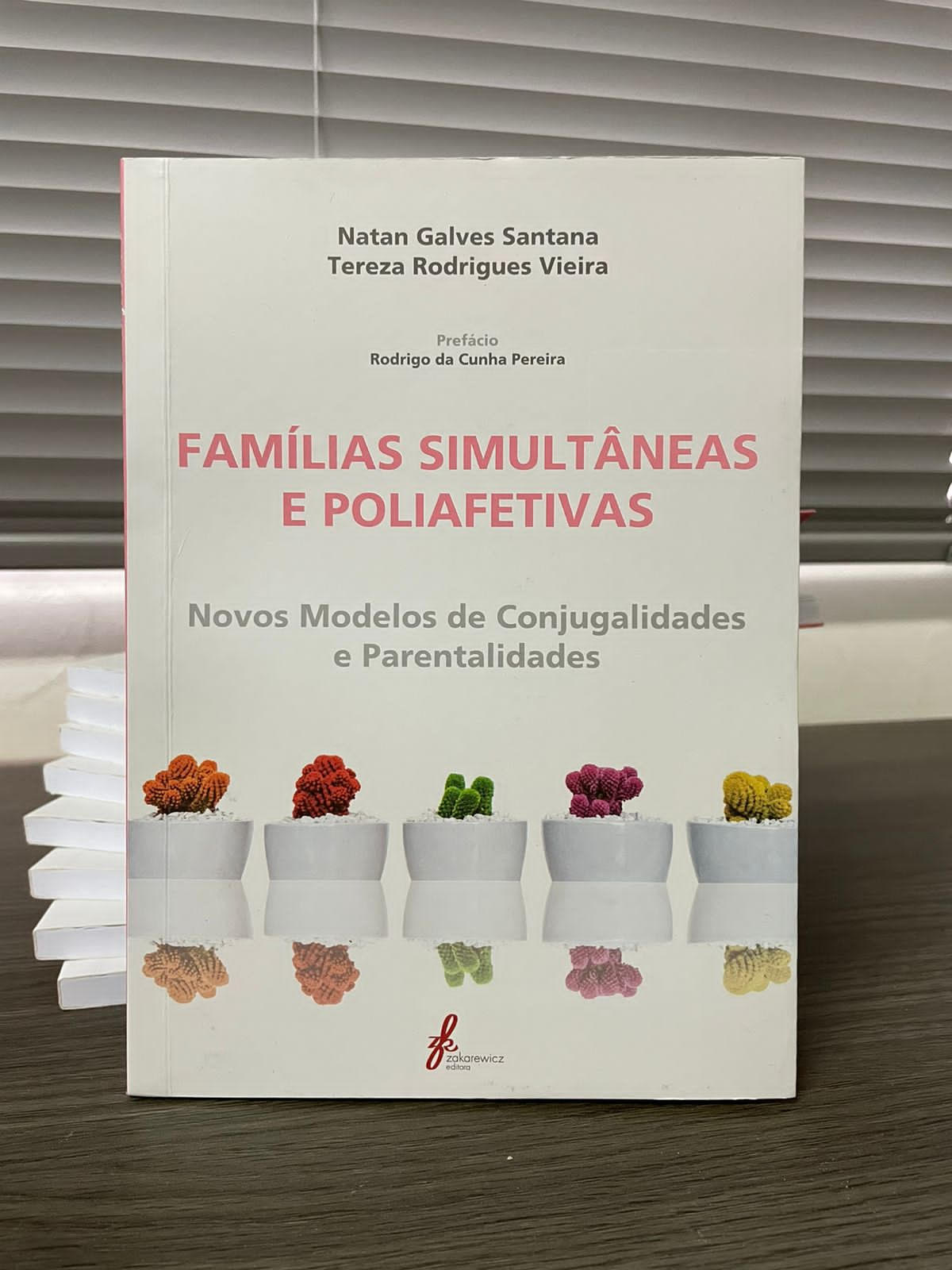 Famílias simultâneas e poliafetivas: Novos modelos de conjugalidades e parentalidades