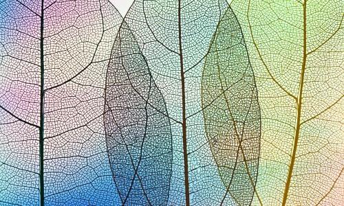 Mediação intercultural é apontada como caminho para tornar o Direito das Famílias mais humano diante da diversidade
