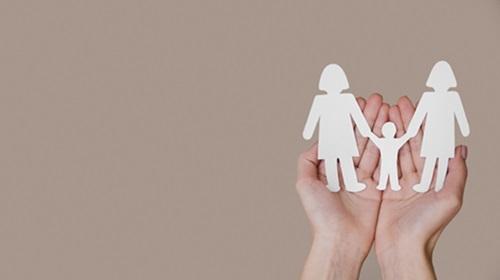 IBDFAM é aceito como amicus curiae em julgamento sobre registro de dupla maternidade em caso de inseminação caseira