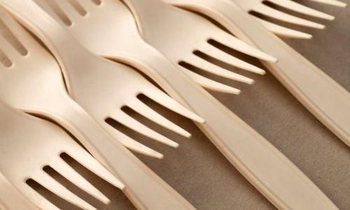 TJSC aplica perspectiva de gênero e mantém majoração de alimentos provisórios