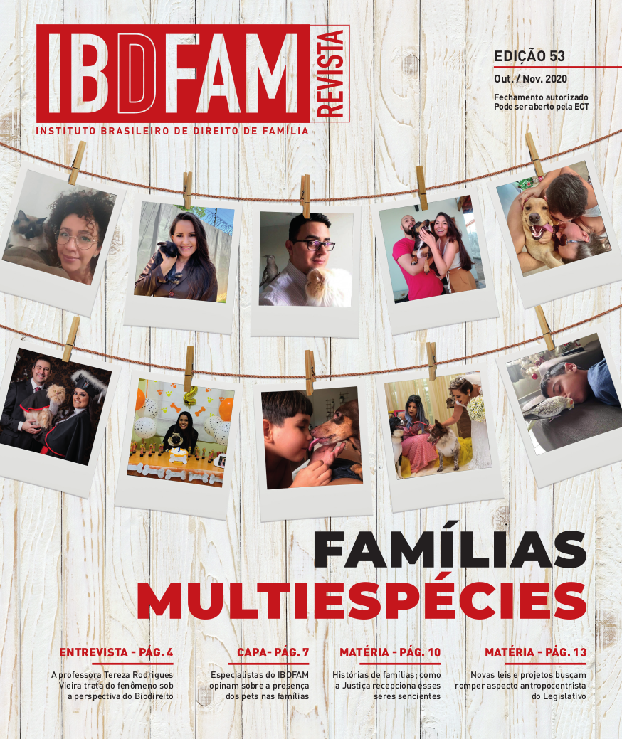 Capa: Revista Informativa, edição 53